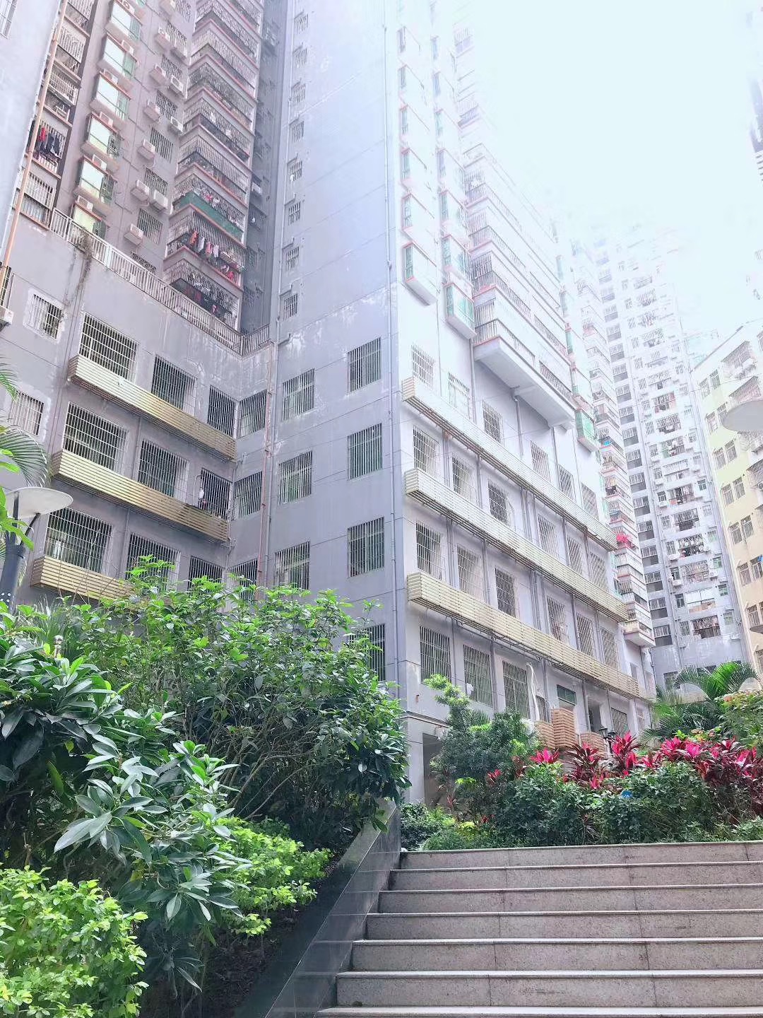 布吉村委統建樓