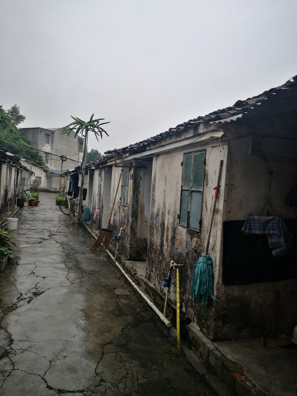 深圳龍華拆遷房