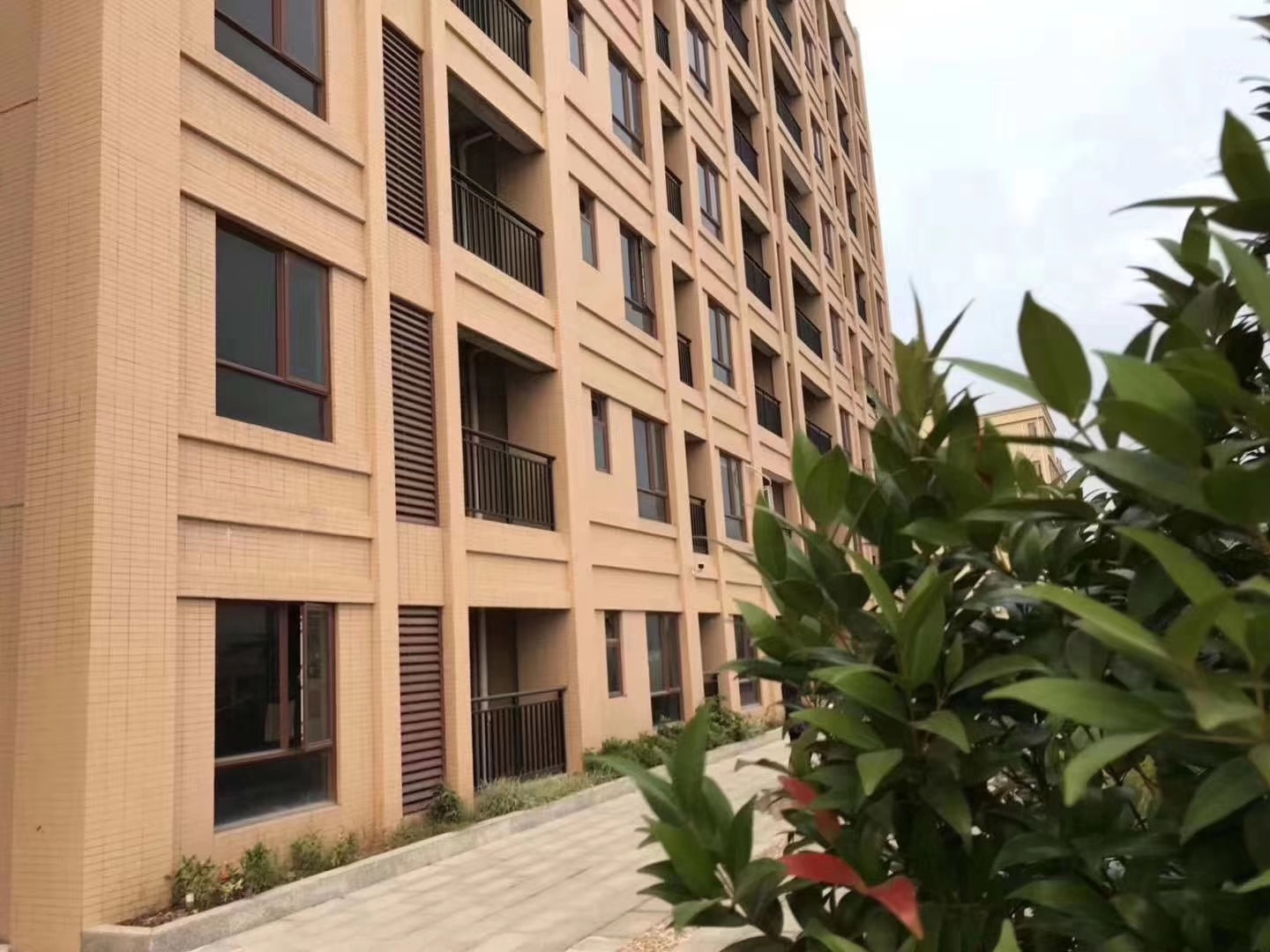 東莞沙田小產權房新城花園均價4580元/㎡出售