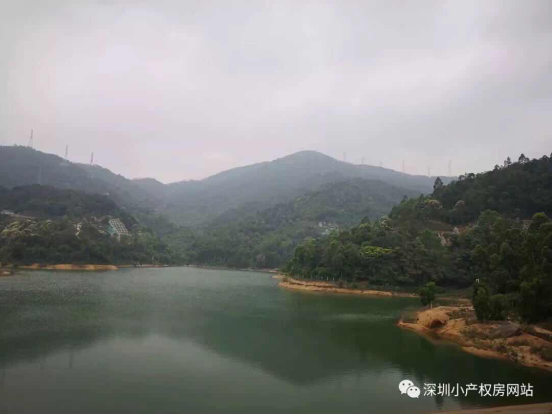 山水綠園一房一廳56平方，56.8萬/套起