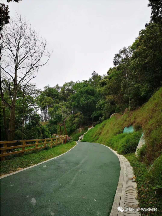 山水綠園一房一廳56平方，56.8萬/套起