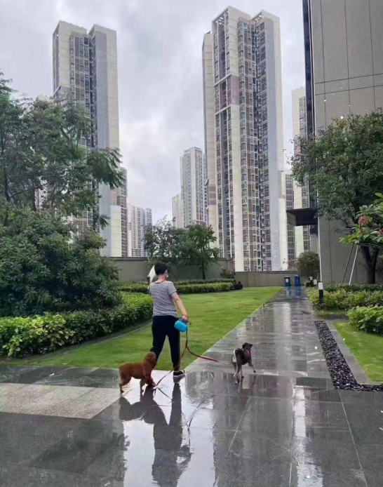 觀瀾新城締造世界級國際產業均價26500元/平