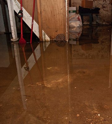 劉女士發(fā)現衛(wèi)生間外的墻壁慢慢發(fā)潮