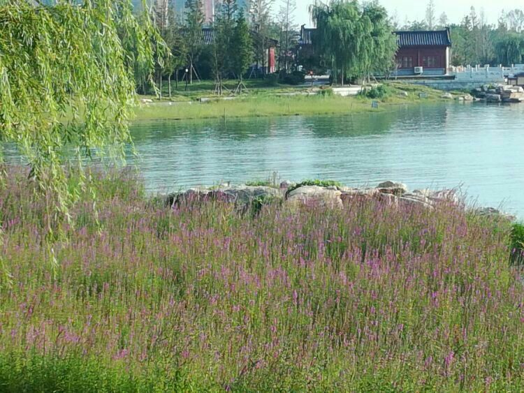 柏里水鄉位于平山縣西柏坡鎮柏里村舊址