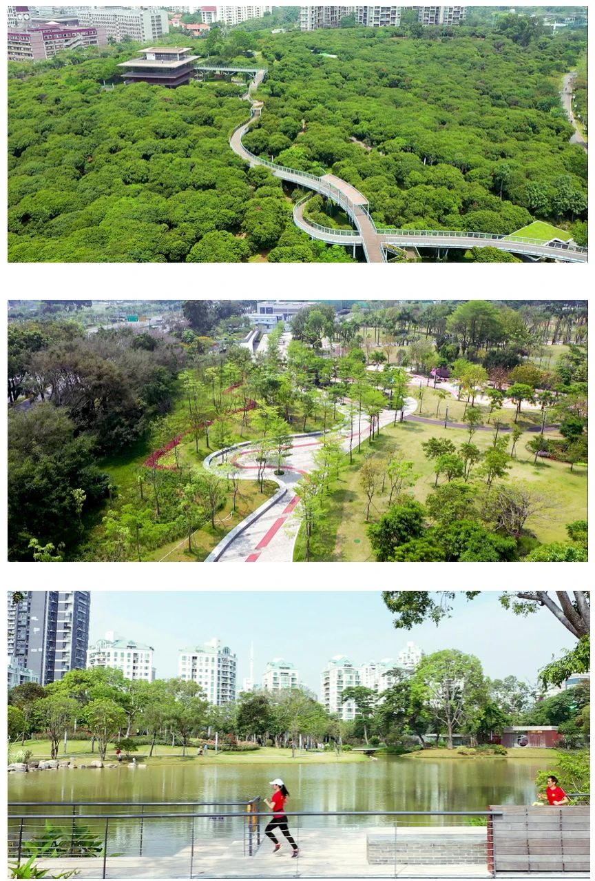 分別是鹽田港東區新填海片區