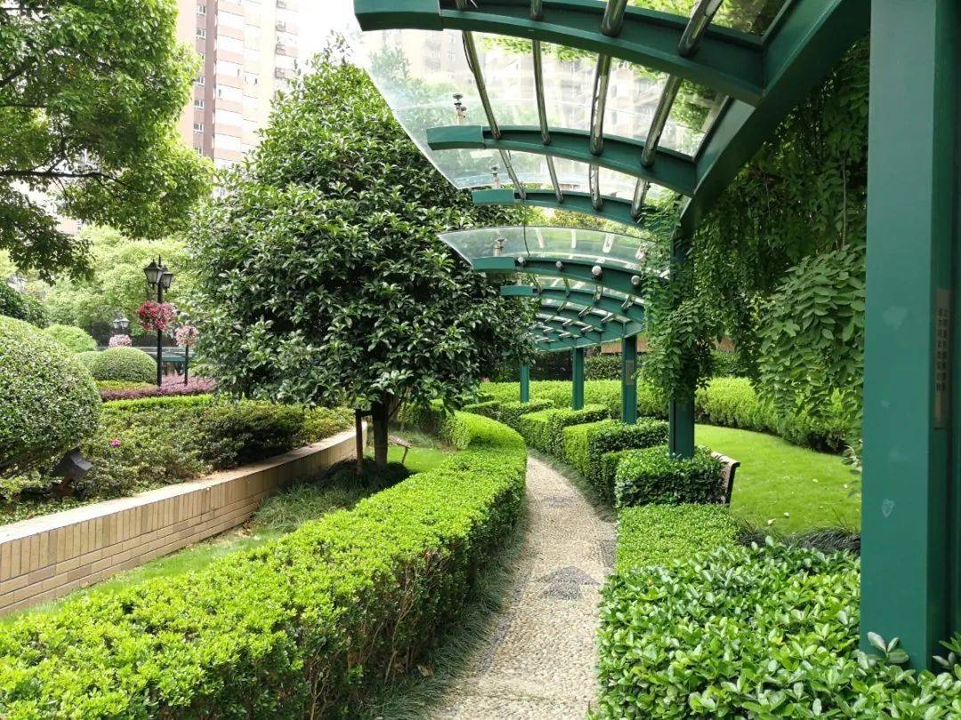 里面景觀環(huán)境簡(jiǎn)直就是高檔一點(diǎn)的安置小區(qū)