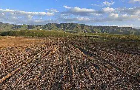 可別看不起農(nóng)村的土地不值錢