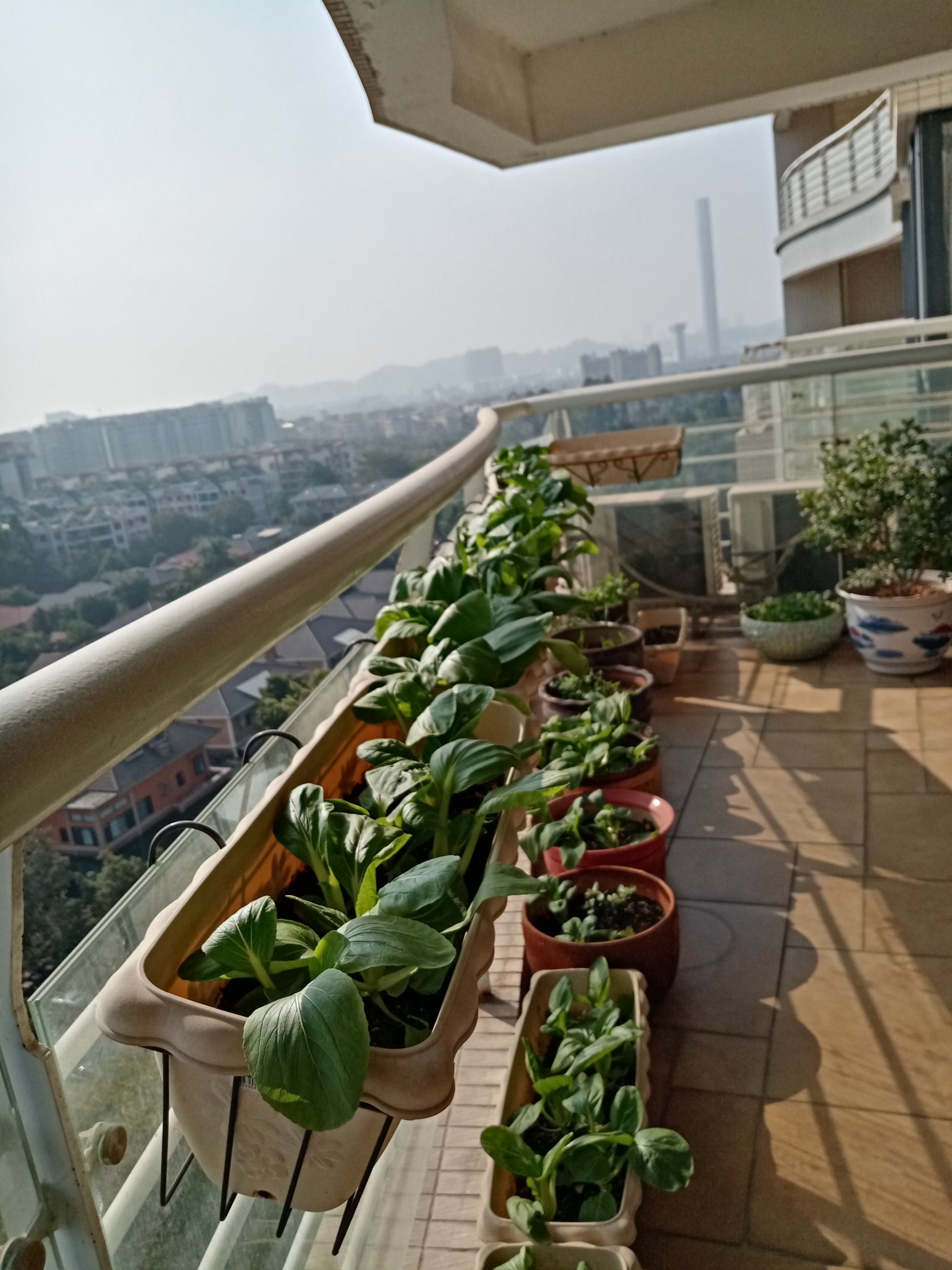 觀瀾人民醫院廟溪社康中心