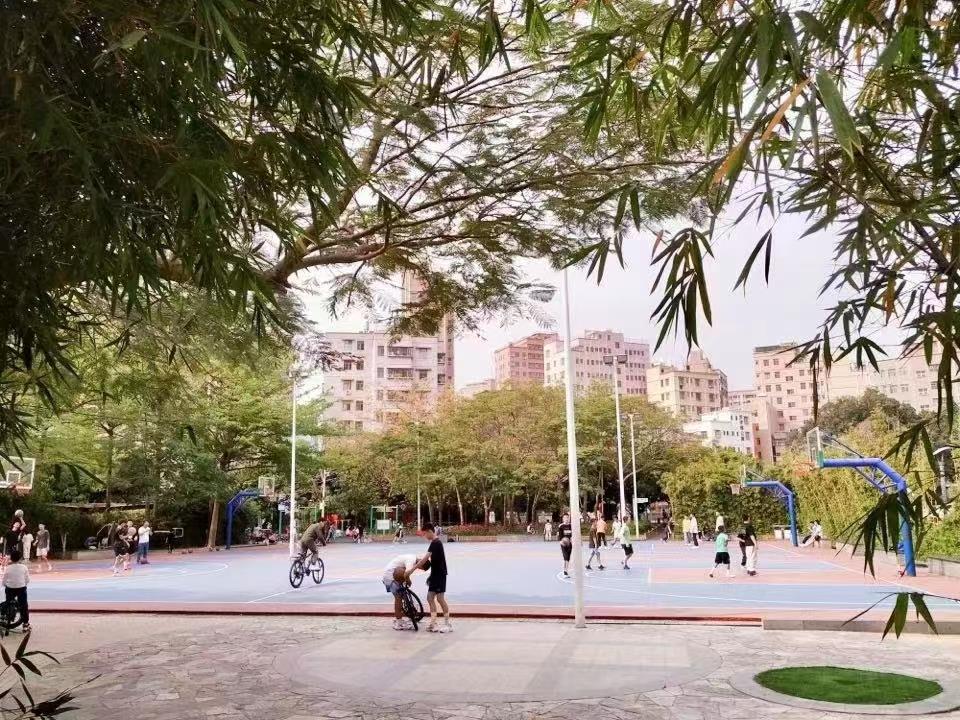 光明區(qū)新盤風華名苑