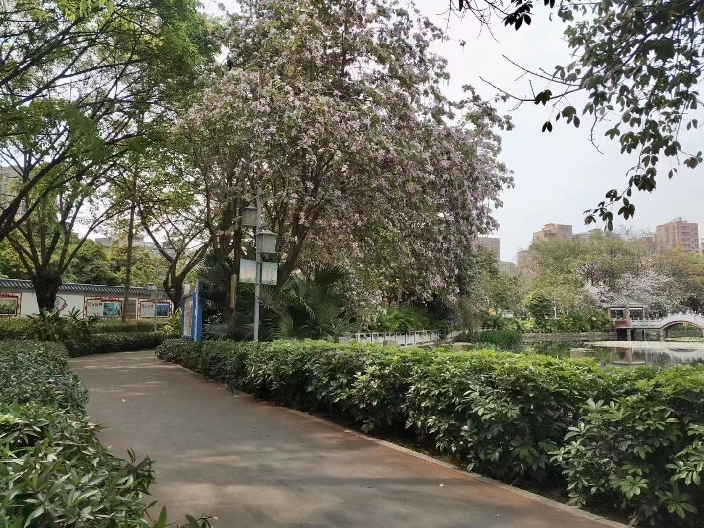 光明區(qū)新盤風華名苑